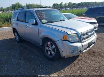  Salvage Ford Escape