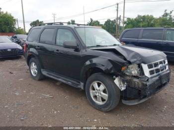  Salvage Ford Escape