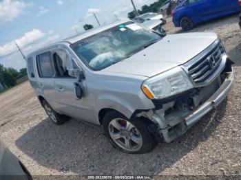  Salvage Honda Pilot