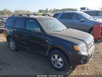  Salvage Ford Escape