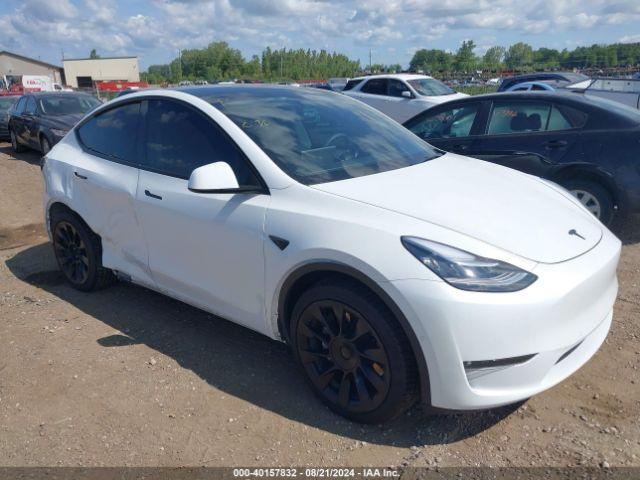  Salvage Tesla Model Y