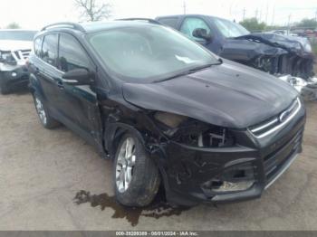  Salvage Ford Escape