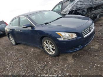  Salvage Nissan Maxima