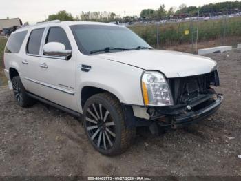  Salvage Cadillac Escalade