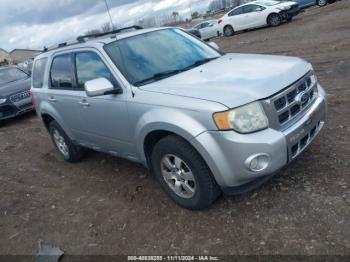  Salvage Ford Escape