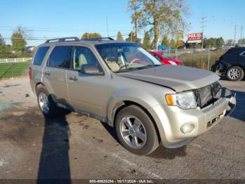  Salvage Ford Escape