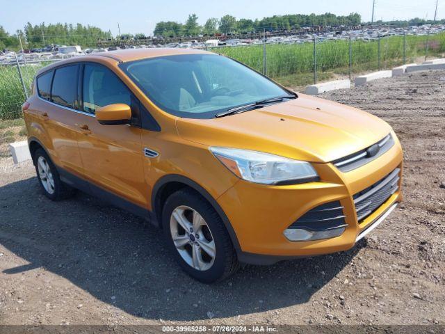  Salvage Ford Escape