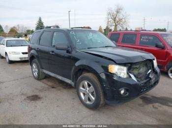  Salvage Ford Escape