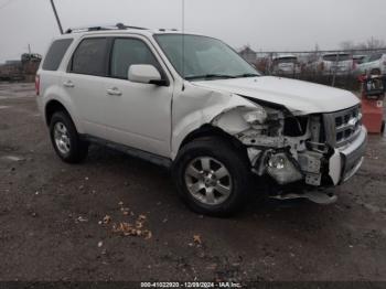  Salvage Ford Escape