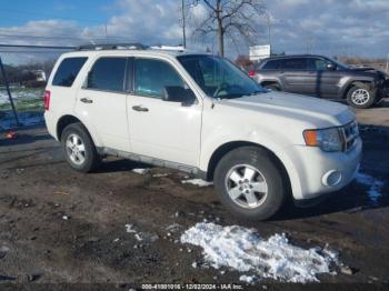  Salvage Ford Escape