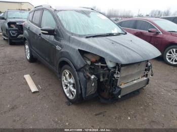  Salvage Ford Escape