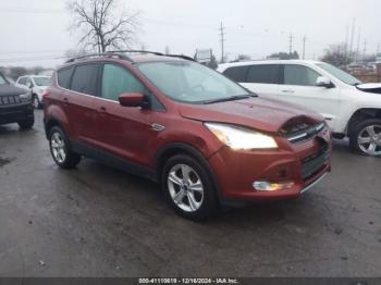  Salvage Ford Escape