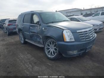  Salvage Cadillac Escalade