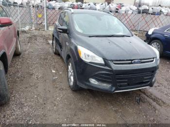  Salvage Ford Escape