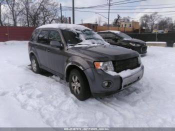  Salvage Ford Escape