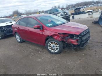  Salvage Ford Focus