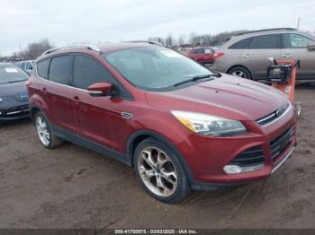  Salvage Ford Escape