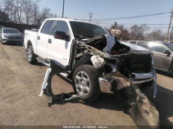  Salvage Ford F-150