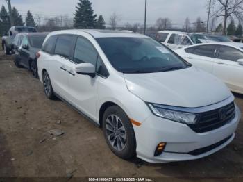  Salvage Honda Odyssey