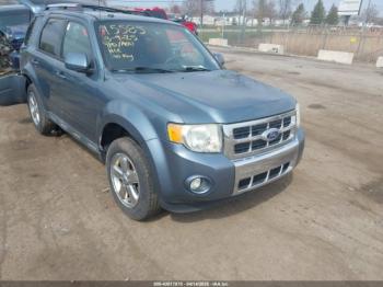 Salvage Ford Escape