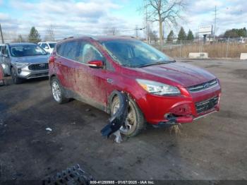  Salvage Ford Escape