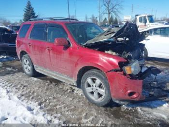  Salvage Ford Escape