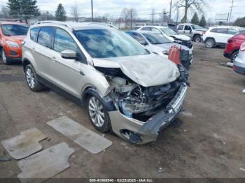  Salvage Ford Escape