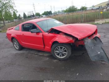  Salvage Ford Mustang