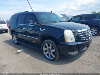  Salvage Cadillac Escalade