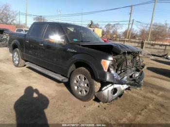  Salvage Ford F-150