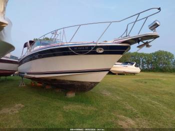  Salvage Wellcraft Other