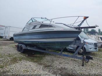  Salvage Crestliner Other