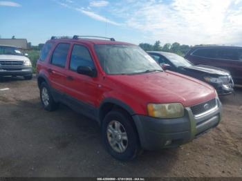 Salvage Ford Escape