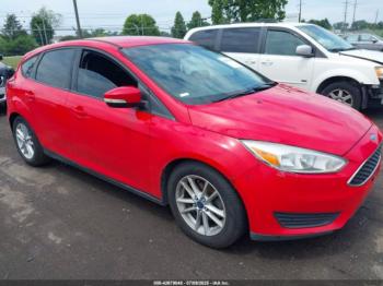  Salvage Ford Focus