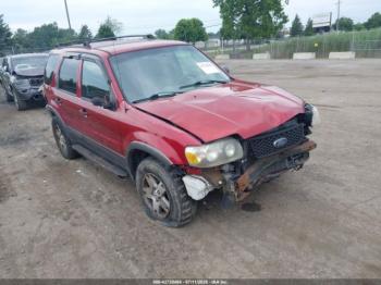  Salvage Ford Escape