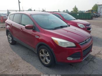  Salvage Ford Escape