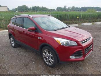  Salvage Ford Escape