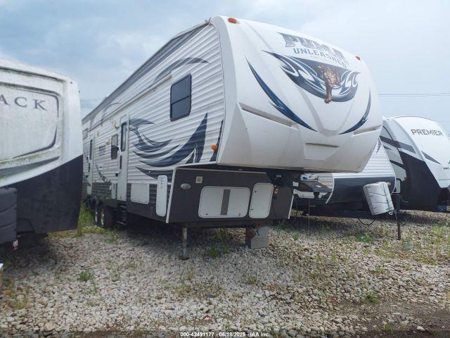  Salvage Palomino Other