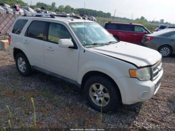  Salvage Ford Escape