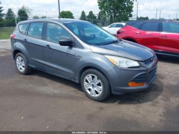  Salvage Ford Escape