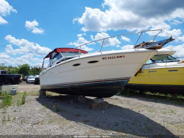  Salvage Sea Ray Other