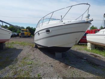  Salvage Maxum Other