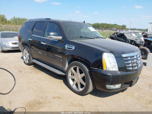 Salvage Cadillac Escalade