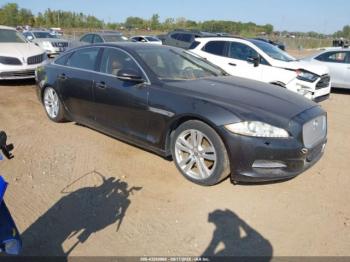  Salvage Jaguar XJ
