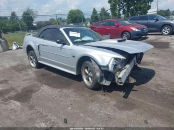 Salvage Ford Mustang