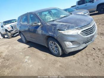  Salvage Chevrolet Equinox