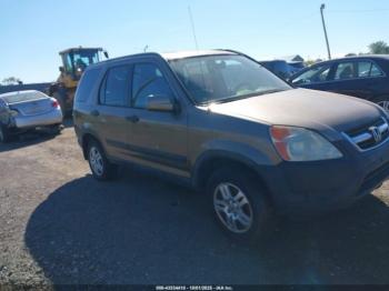  Salvage Honda CR-V