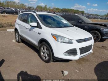  Salvage Ford Escape