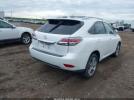 Lexus RX Image 13