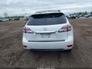 Lexus RX Image 6